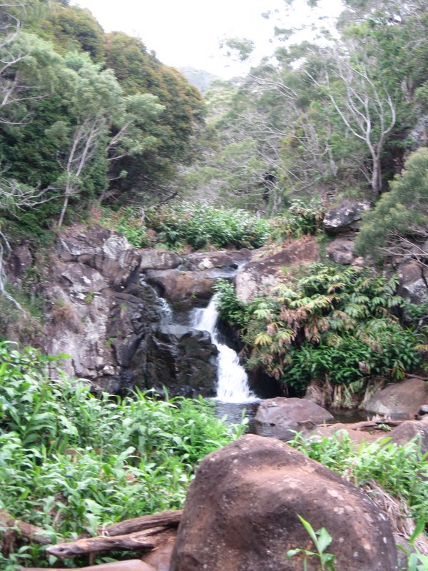 Waimea Canyon